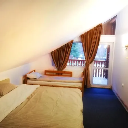 Holiday home Cabana Transilvanica